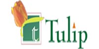 Tulip